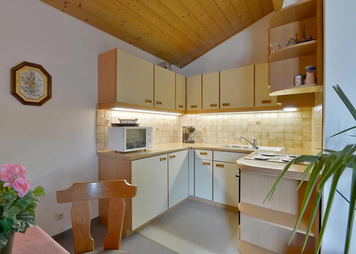 Apartment Haus Auermühle *
